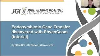 Cynthia Shi: Endosymbiotic Gene Transfer discovered with PhycoCosm