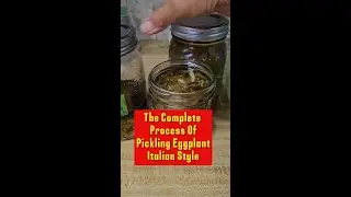 The Complete Process Of Preserving Eggplant Italian Style