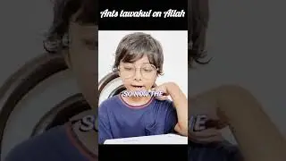 Ants tawakul on Allah 🐜🫶......#tawakkul #allah #islam #faith #education #muslimkidsstory #children