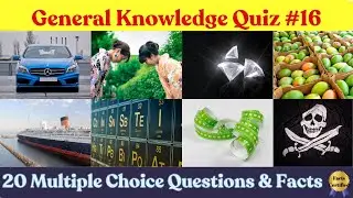 General Knowledge Quiz 16 | Take This Quiz and Learn Fun Facts Along the Way