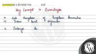 Eumetazoa divided into and