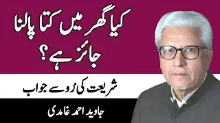 Is Keeping a Dog at Home Allowed in Islam? | Ghamidi