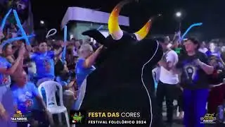 Neto Abreu - Boi de chão evolução- Festa das cores 2024- Diamante negro 💎💙