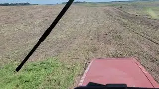 Planting Sudan grass in a CIH 8930