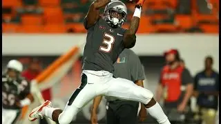 Stacy Coley (Miami) vs. Georgia Tech (2016)