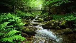 Relaxing Music  with soft water sounds| Deep Healing & Stress Relief, water sound, meditation, river