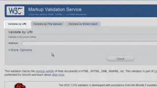 Using The W3C Validator