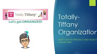Totally-Tiffany Organization:  Leanne Buddy Bag