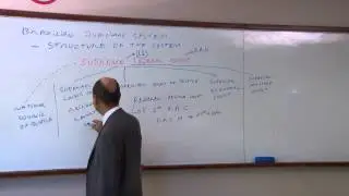 Brazilian Legal System - Program 7 - Jo&atilde;o Carlos Souto