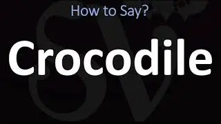 How to Pronounce Crocodile? (CORRECTLY)