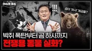 [58회] 러시아·북한도 활용 중…전쟁에 투입된 동물들은?ㅣ문근식의 태스크 포스 [문태포🔎] /YTN2 밀덕스