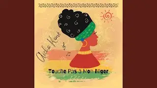 Touche Pas &agrave; Mon Niger