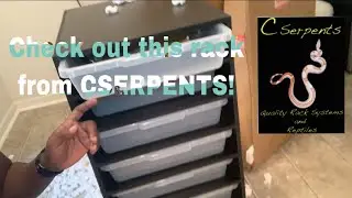 Unboxing rack from CSerpent review Pt 1 l Dixon's Reptillia