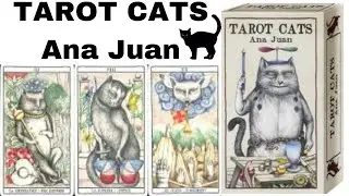 TAROT CATS Fournier Ana Juan Review