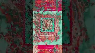 [ NEON DREAMS ]  #art  #music #analoguehorror #abstract #ambient #synth #spotify #x #shorts #reels
