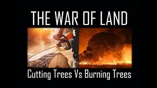 Crimeophobia: Aarey Burning vs Cutting (Part 3)