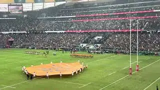 Cape Town Fan: Springboks vs Wallabies. SA national anthem @Cape Town Stadium 