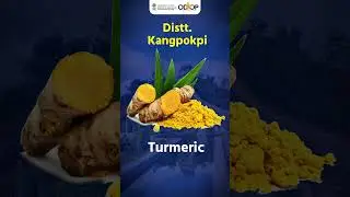 Transforming Local Economies: One District, One Product in Manipur #onedistrictoneproduct #odop