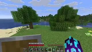 Minecraft Java Gameplay #19 :: THE END