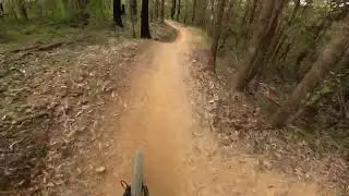 King Brown - Wedding Bells Mountain Bike Park Woolgoolga NSW