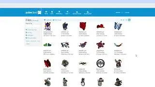 DG17: Mass Upload to PulseCloud
