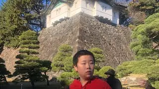 Japan trip: travel vlog + food tour