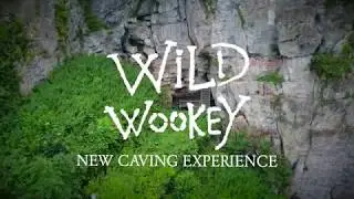 Wild Wookey Caving Experience