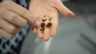 Mirzam Chocolate, Dubai