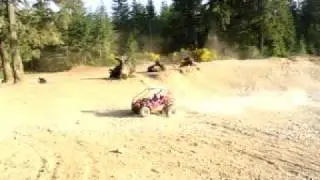 150cc hammerhead with custom endrigo head now available at Bladeperformance.com