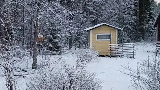 Rasvatanko, makkara, läskitanko - lintujen talviruokintaa