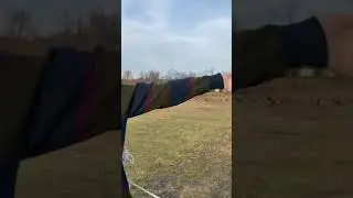 Look at all those chickens - Original Vine