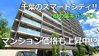 【柏の葉エリアに住む②】眺望・利便性のすべてが完璧な柏の葉キャンパス3LDKファミリー用マンションを内見！　ジオ柏の葉キャンパス