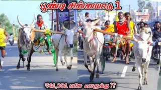 1பூண்டி-சின்னமாடு-பந்தயம்_28.12.2025_V_Photography
