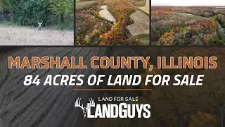Income, Hunting & Build Site Potential on this 84 Acres in Marshall Co., IL For Sale!