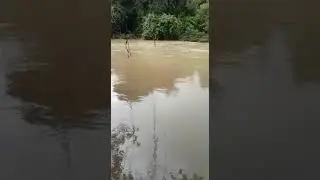Rio Crixas cheio..rancho burro preto