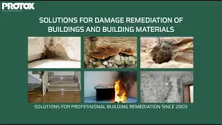 Brief intro of PROTOX&reg; remediation services