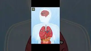 Why We Feel Sudden Pain While Running? | Diaphragm Explained 😳