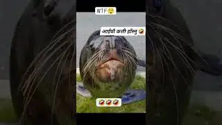 Nepali ho Ni, 🤭😅 #comedy #nepal #funny #savageguy