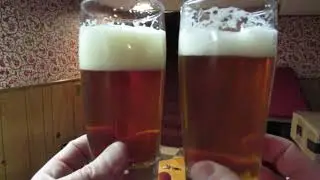 Anchor Steam Comparison - Homebrew and Commercial.