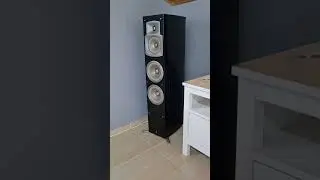 YAMAHA NS-555 & LUXMAN LV-103
