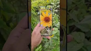 Oneplus 10 Pro still best!