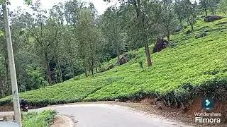 NOT KERALA IT'S ALSO  MADOLKELE ,SRI LANKA ## 🇱🇰