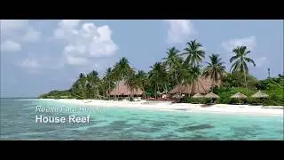 Reethi Faru Maledives  - house reef snorcheling in march 2018