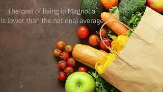 Is Magnolia, TX a good place to raise a family