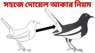 সহ‌জে দো‌য়েল আকার নিয়ম//how to draw picture easily