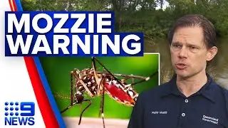Ross River virus detected in Brisbane mosquitos | 9 News Australia