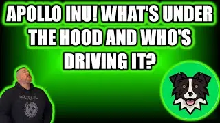 APOLLO INU! WHAT'S UNDER THE HOOD AND WHO'S DRIVING IT?