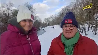 Cedre Culture -16 - Winter in France, testimonies and perspectives on Lebanon.