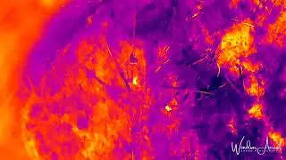 Episode # 04: Thermal Infrared Camera Services by Windsor Aerial Drone Photography.