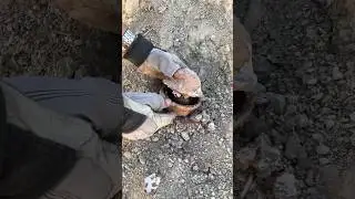 treasure hunter #adventure #metaldetecting #history #metaldetector #treasure
